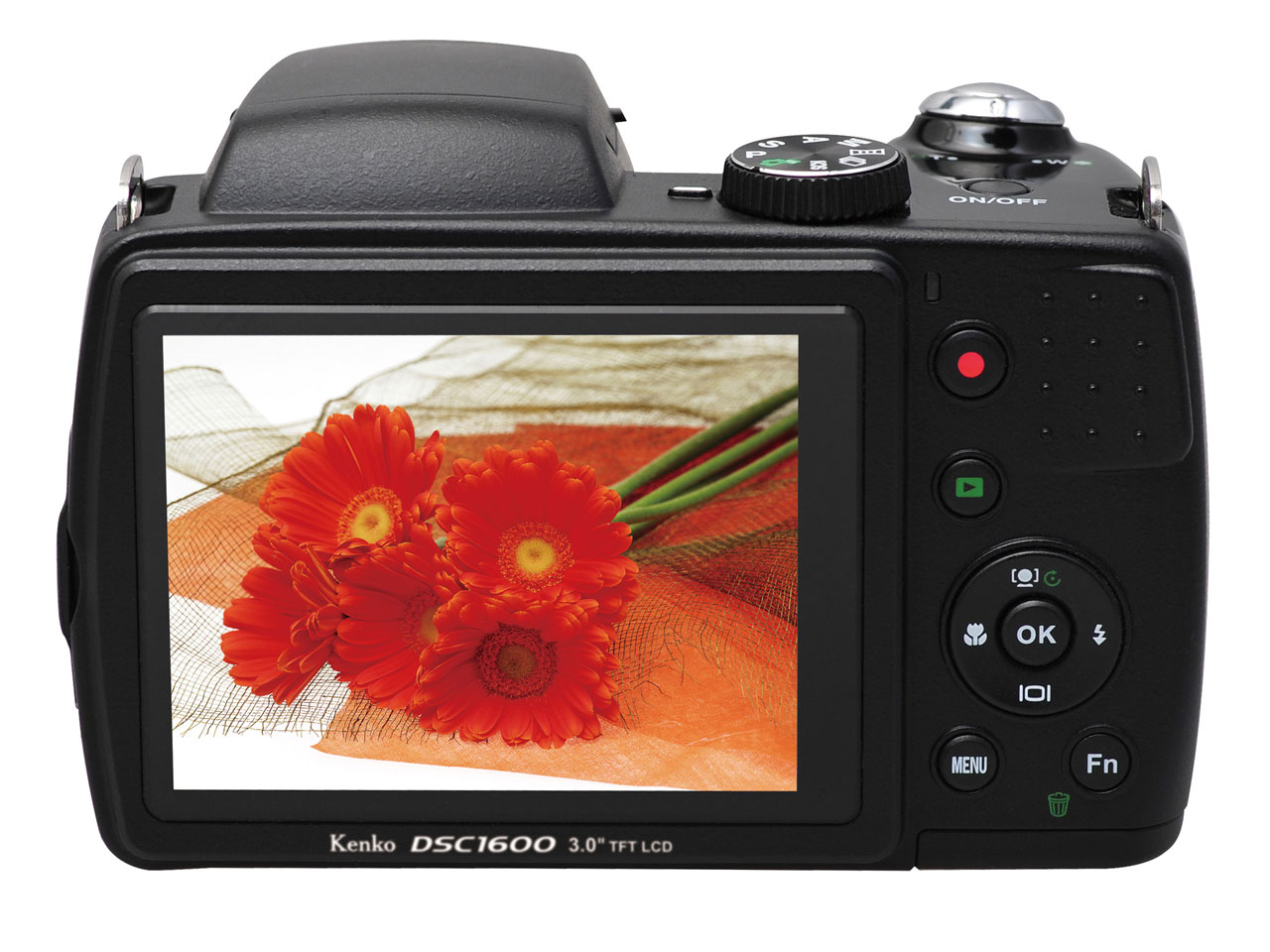 DSC-1600