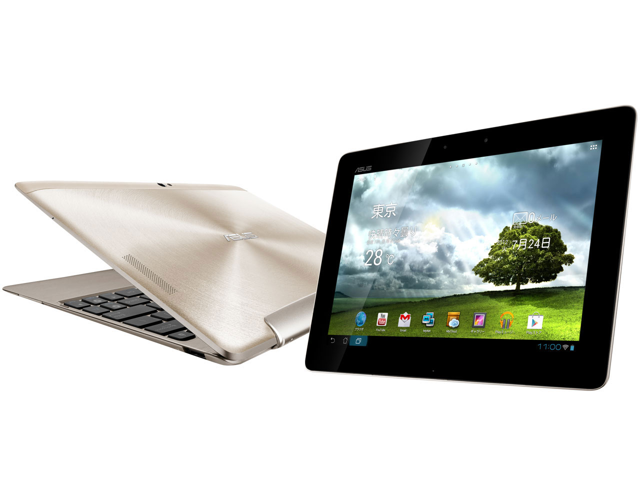 ASUS Pad TF700T TF700-GD64D [�V�����p���S�[���h]