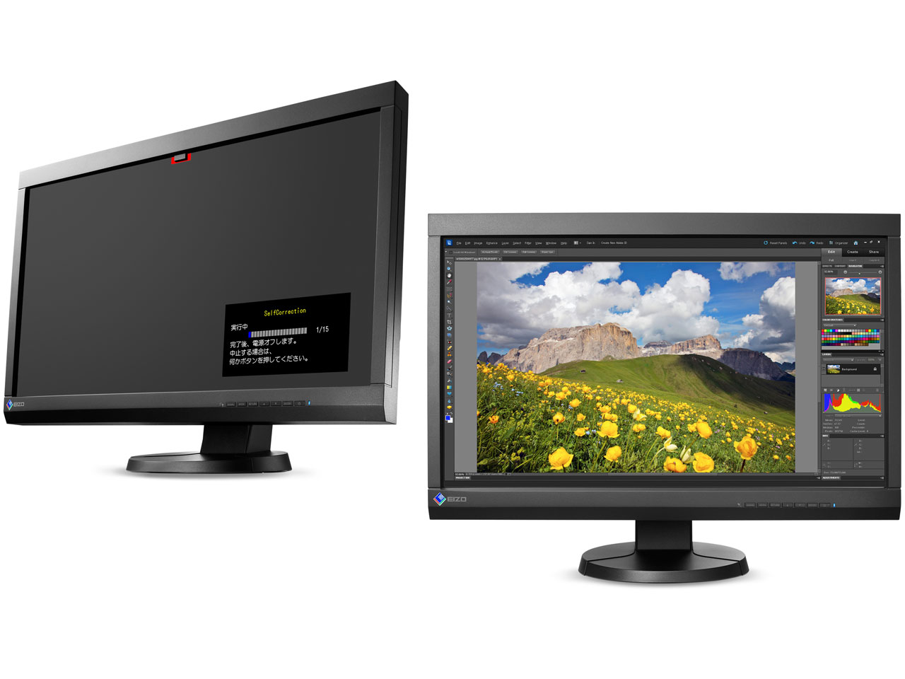 ColorEdge CS230 [23�C���` �u���b�N]