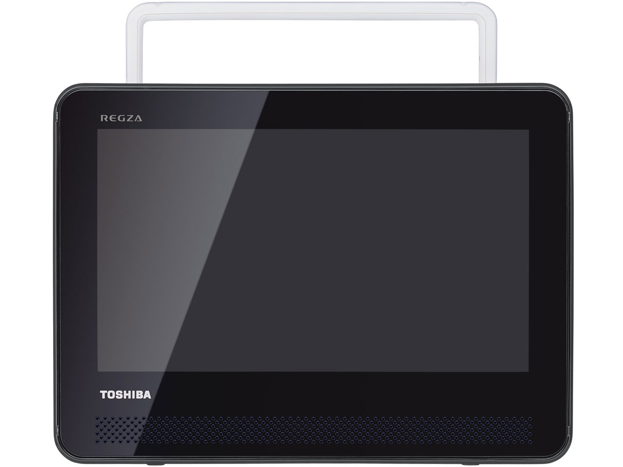 REGZA SD-P100WP