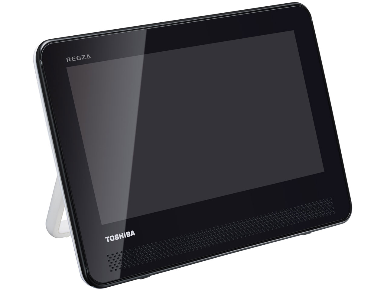 REGZA SD-P100WP