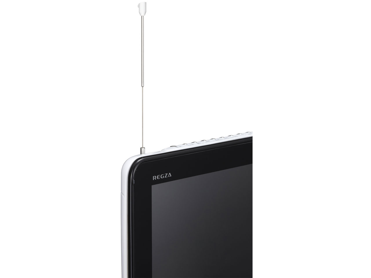 REGZA SD-P100WP