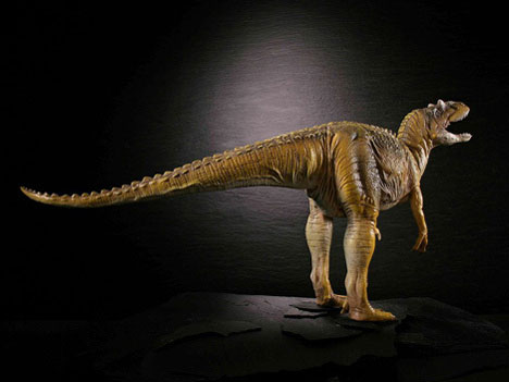 �_�C�m�e�C���Y�V���[�Y �A���T�E���X [�u���E���J���[]