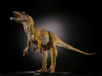 �_�C�m�e�C���Y�V���[�Y �A���T�E���X [�u���E���J���[] �̐��i�摜