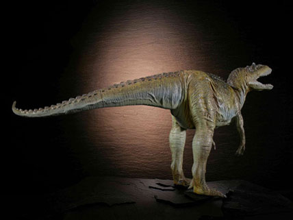 �_�C�m�e�C���Y�V���[�Y �A���T�E���X [�O���[���J���[]