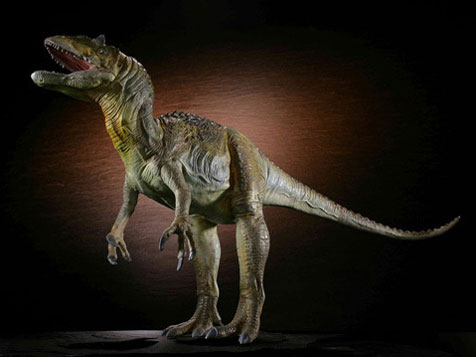 �_�C�m�e�C���Y�V���[�Y �A���T�E���X [�O���[���J���[] �̐��i�摜