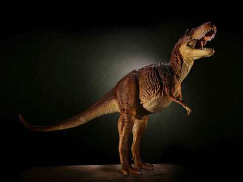 �_�C�m�e�C���Y�V���[�Y �e�B���m�T�E���X [�u���E���J���[] �̐��i�摜