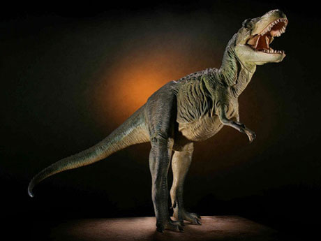 �_�C�m�e�C���Y�V���[�Y �e�B���m�T�E���X [�O���[���J���[] �̐��i�摜