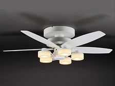 AFAR-60079 �̐��i�摜