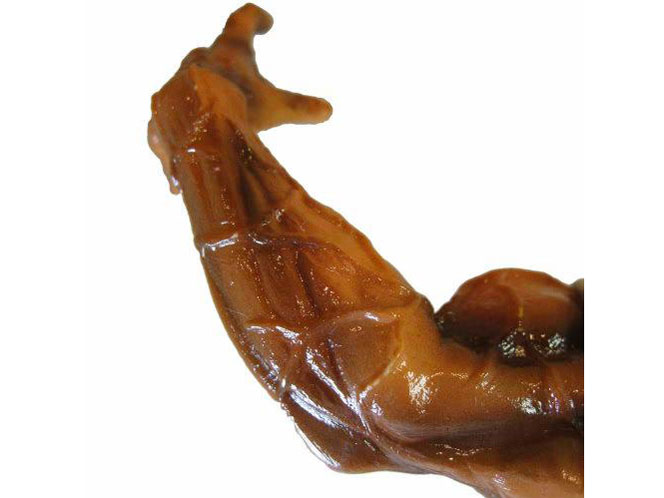 RDF �O���b�v���[�n�� �͔n�E���Y �`�����s�I�� �U �E�F�u�� (�n��ŋ��̐���)