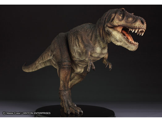 �}�X�^�[�t�H�b�V�� ���C�t���f���V���[�Y T.rex �e�B�����m�T�E���X