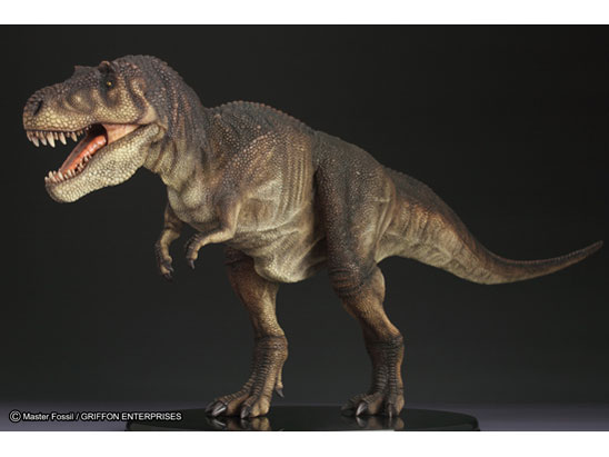 �}�X�^�[�t�H�b�V�� ���C�t���f���V���[�Y T.rex �e�B�����m�T�E���X