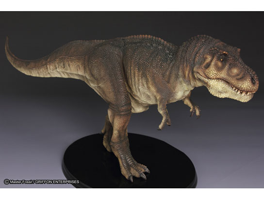 �}�X�^�[�t�H�b�V�� ���C�t���f���V���[�Y T.rex �e�B�����m�T�E���X