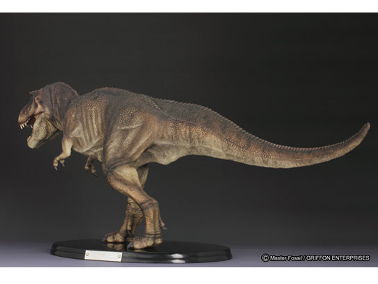 �}�X�^�[�t�H�b�V�� ���C�t���f���V���[�Y T.rex �e�B�����m�T�E���X