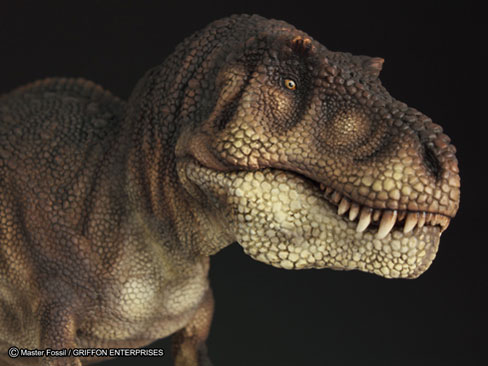 �}�X�^�[�t�H�b�V�� ���C�t���f���V���[�Y T.rex �e�B�����m�T�E���X