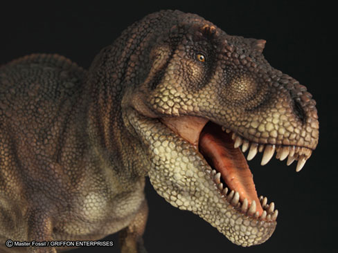 �}�X�^�[�t�H�b�V�� ���C�t���f���V���[�Y T.rex �e�B�����m�T�E���X