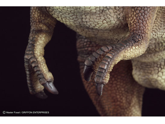 �}�X�^�[�t�H�b�V�� ���C�t���f���V���[�Y T.rex �e�B�����m�T�E���X