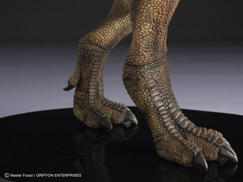 �}�X�^�[�t�H�b�V�� ���C�t���f���V���[�Y T.rex �e�B�����m�T�E���X