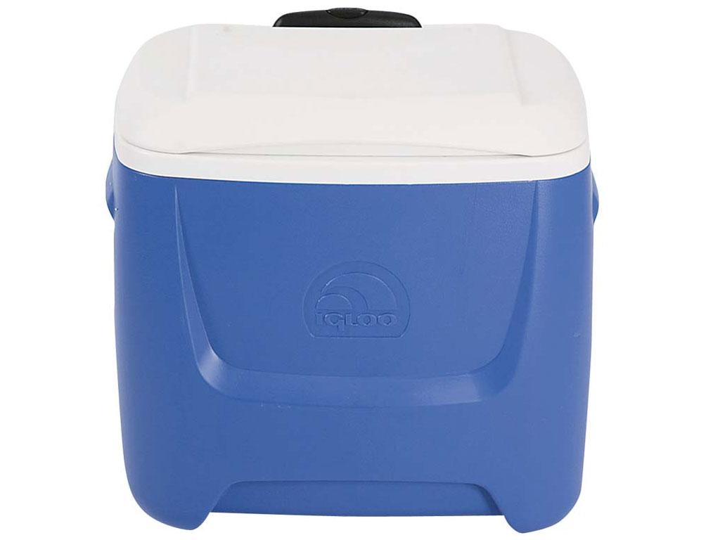 �C�O���[ �A�C�����h�u���[�Y 28QT���[���[ M-6978 [�u���[]