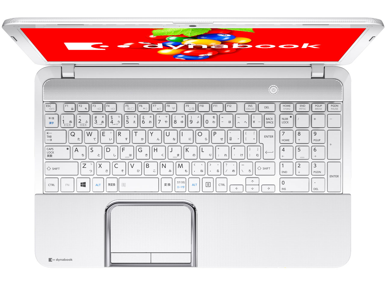 dynabook T552 T552/36GW PT55236GBHW [�����N�X�z���C�g]