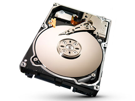 ST91000640NS [1TB 15mm]