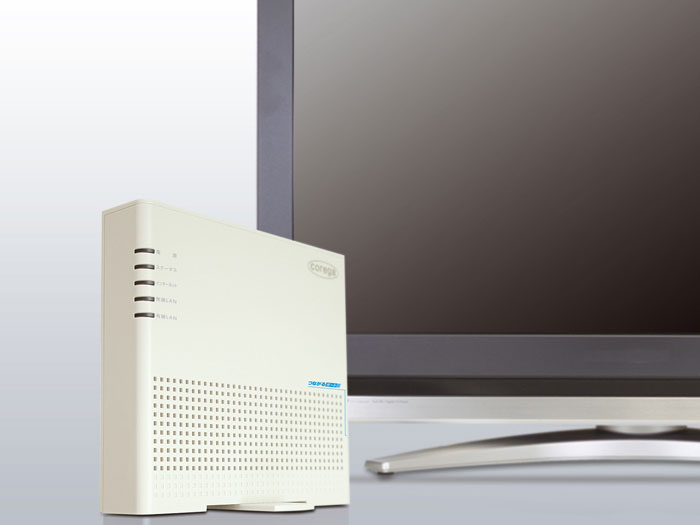 CG-WLR300GNZ