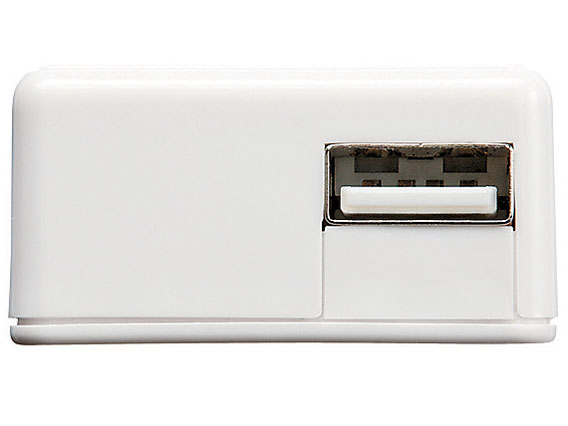 ACA-IP29W [�z���C�g]