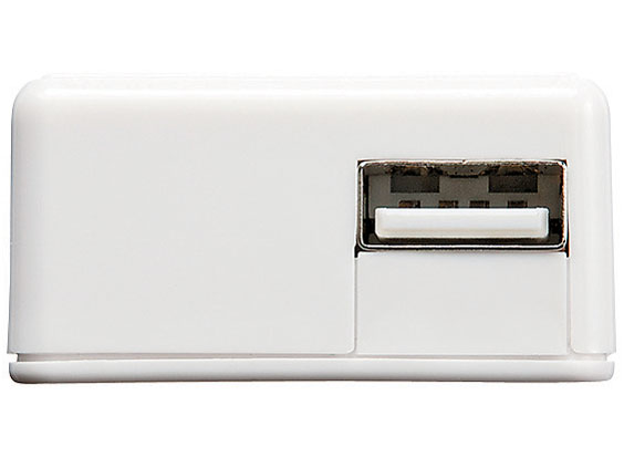 ACA-IP30SW [�z���C�g]