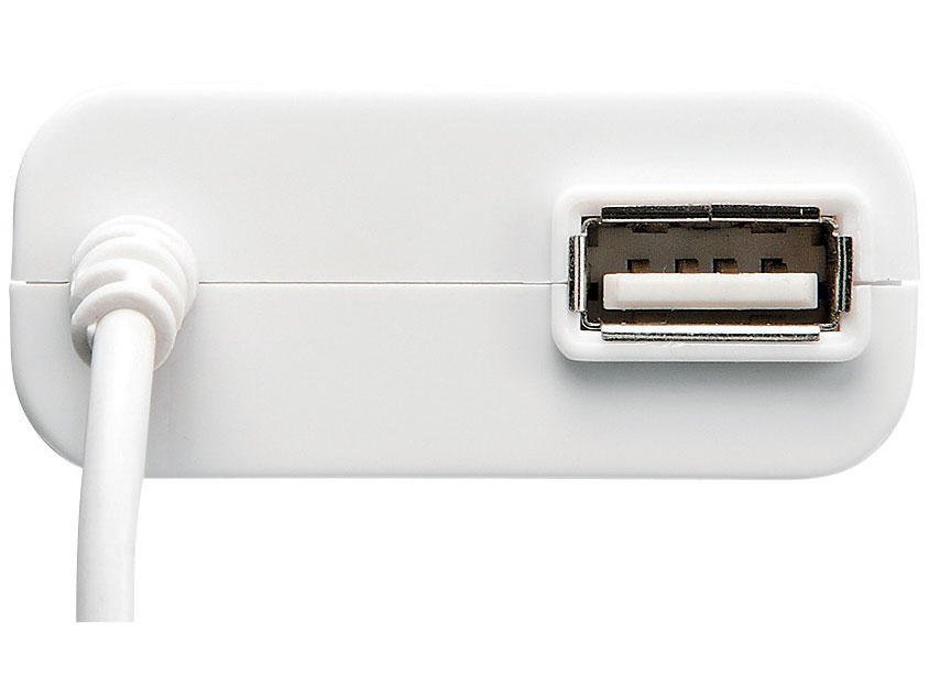 ACA-IP31SW [�z���C�g]