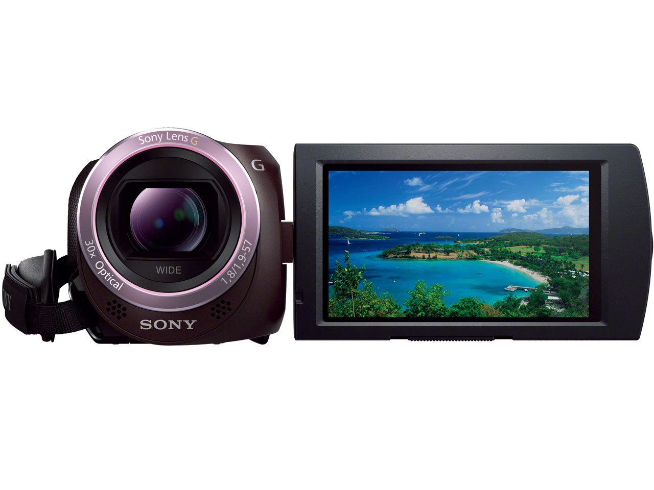 HDR-PJ390 (T) [�{���h�[�u���E��]