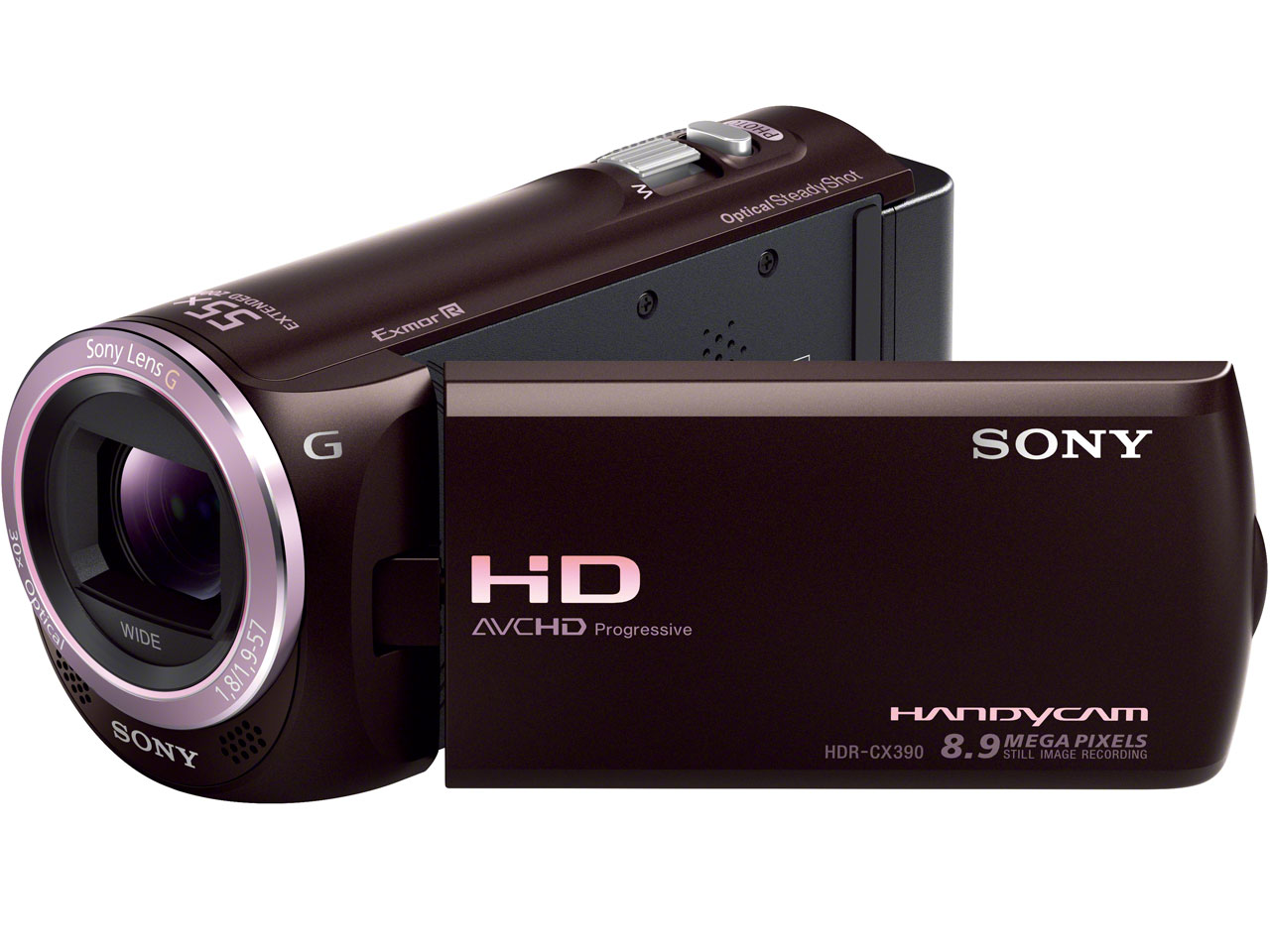 HDR-CX390 (T) [�{���h�[�u���E��]