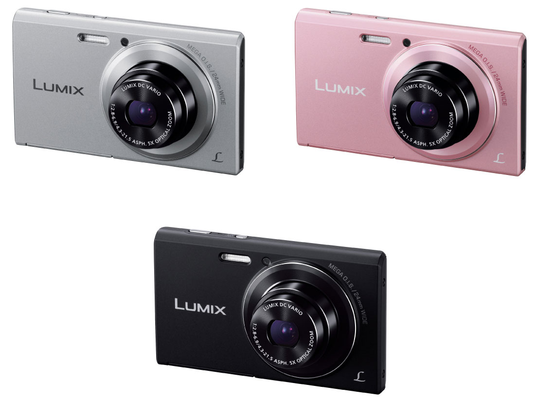 LUMIX DMC-FH10-S [�V���o�[]