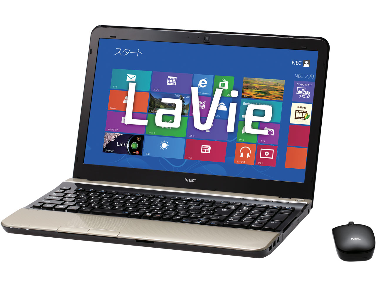 LaVie S LS350/LS6G PC-LS350LS6G [�N���X�S�[���h]