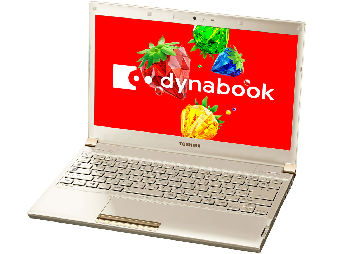 dynabook R732 R732/38HK PR73238HAMK [�X�p�[�N���S�[���h]