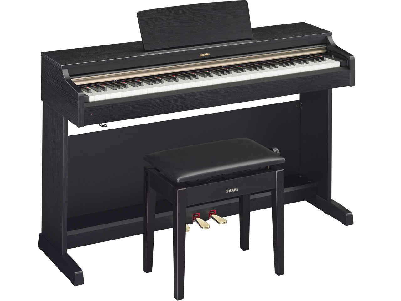 ARIUS YDP-162B [�u���b�N�E�b�h��] �̐��i�摜