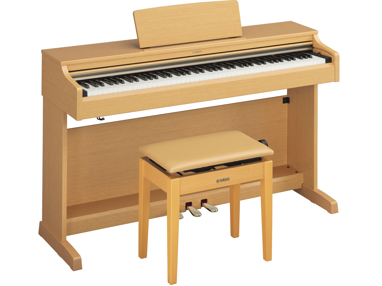 ARIUS YDP-162C [���C�g�`�F���[��] �̐��i�摜