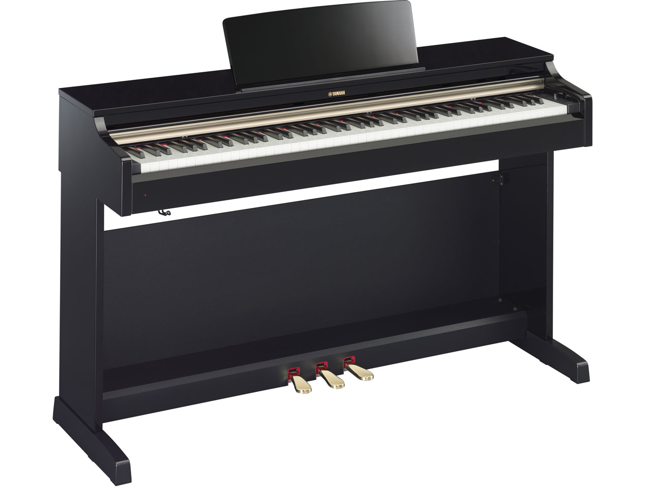 ARIUS YDP-162PE [���F���o���d�グ]