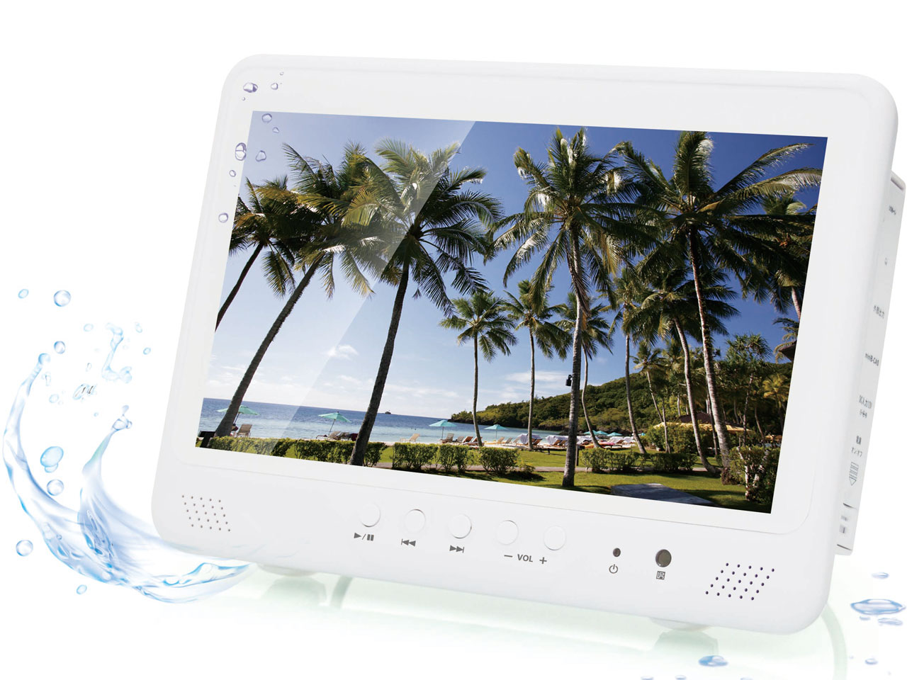 RV-101FSWP �̐��i�摜