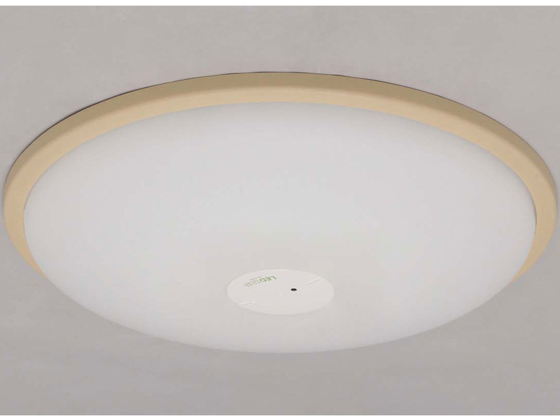 ECOHiLUX CL14N-W1-T [�u���E��] �̐��i�摜