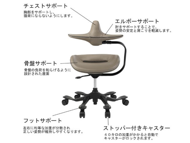 �p�������@�\�t�����U�[���~�`�F�A(ipole) 959296 �O���[ [�x�����]��]