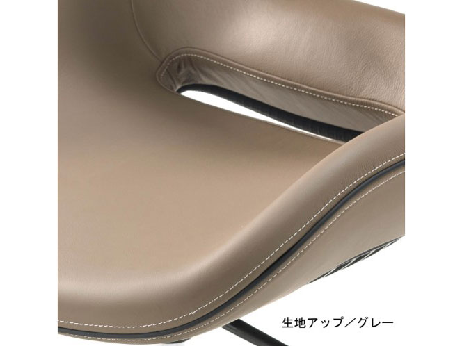 �p�������@�\�t�����U�[���~�`�F�A(ipole) 959296 �O���[ [�x�����]��]