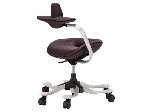 �p�������@�\�t�����~�`�F�A(ipole) 959294 �O���[ [�x�����]��]