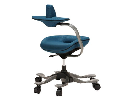 �p�������@�\�t�����~�`�F�A(ipole) 959294 �u���[ [�x�����]��]