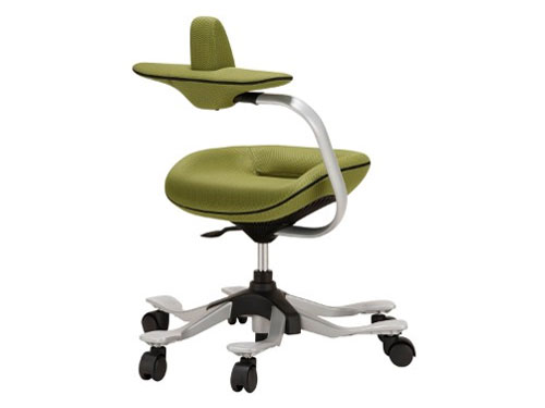 �p�������@�\�t�����~�`�F�A(ipole) 959294 �O���[�� [�x�����]��]