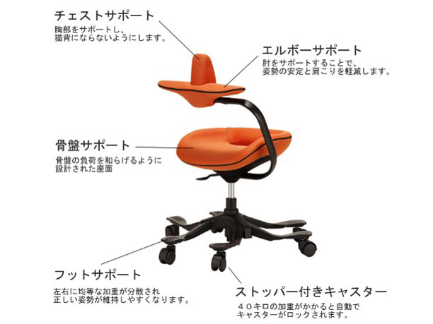 �p�������@�\�t�����~�`�F�A(ipole) 959294 �I�����W [�x�����]��]