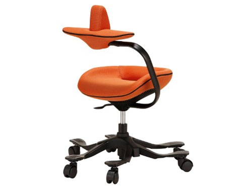 �p�������@�\�t�����~�`�F�A(ipole) 959294 �I�����W [�x�����]��]