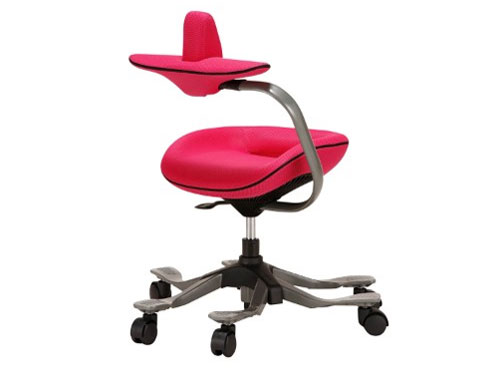 �p�������@�\�t�����~�`�F�A(ipole) 959294 �s���N [�x�����]��]
