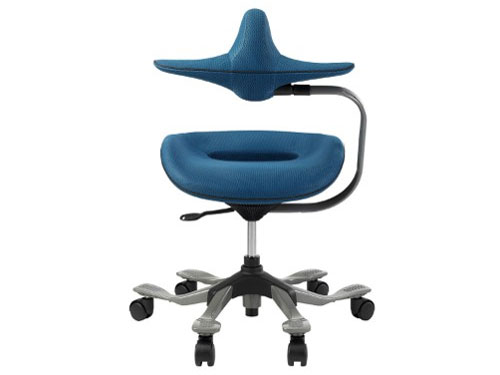 �p�������@�\�t�����~�`�F�A(ipole) 959295 �u���[ [�x�����]��]