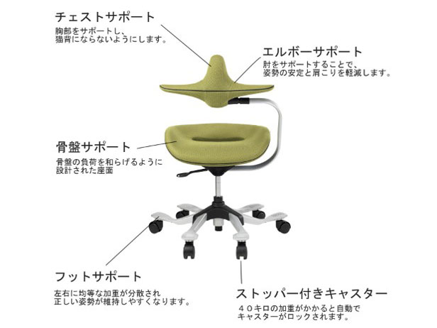 �p�������@�\�t�����~�`�F�A(ipole) 959295 �I�����W [�x�����]��]