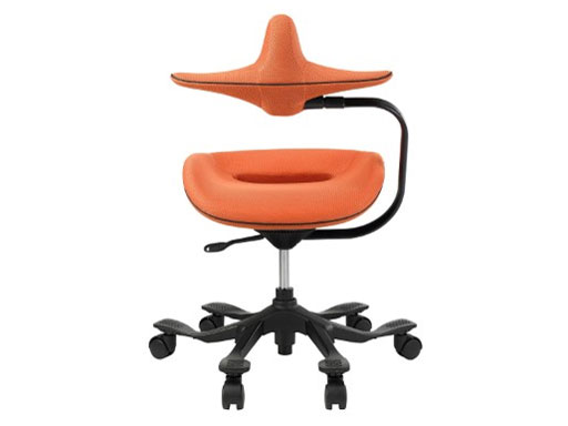 �p�������@�\�t�����~�`�F�A(ipole) 959295 �I�����W [�x�����]��]